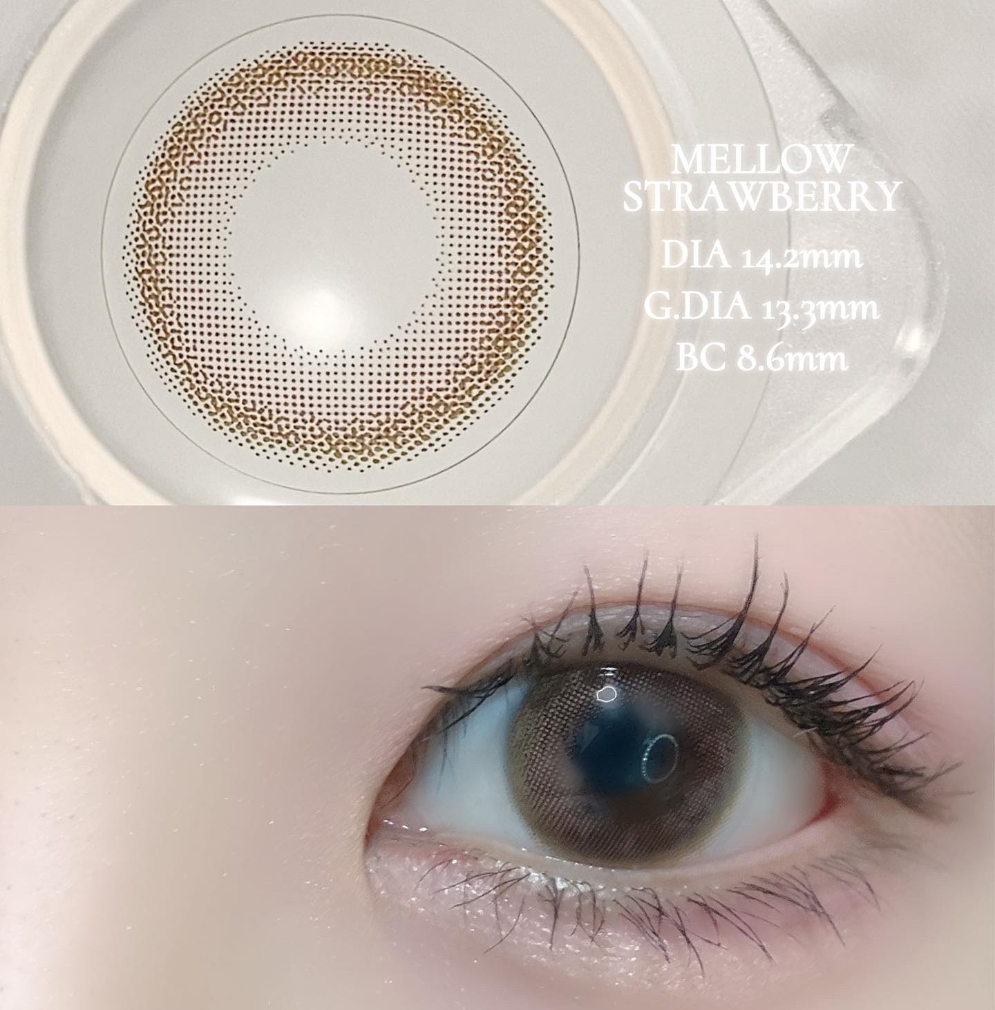 mimuco 1day/mimuco/ワンデー（１DAY）カラコンを使ったクチコミ（2枚目）