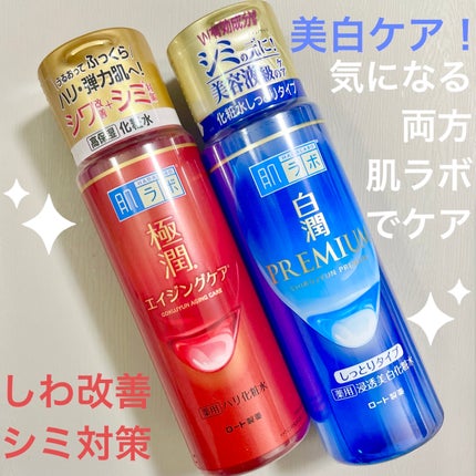 白潤プレミアム 薬用浸透美白化粧水(しっとりタイプ)/肌ラボ/化粧水を使ったクチコミ(1枚目)