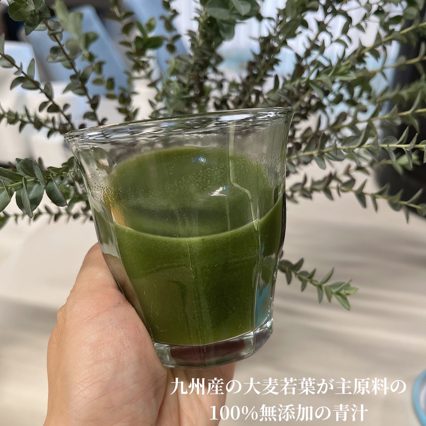 美力青汁beauty/ミッシーリスト/青汁を使ったクチコミ(4枚目)