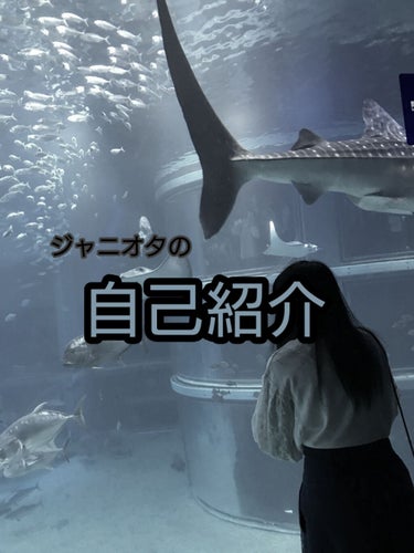 初めまして！！！
稚桜ですあっ本名とは異なります
初めての投稿なので
自己紹介からしようかなと思います




名前.......稚桜(ちさ)
年齢.......中学生と言わせて
特技.......特に