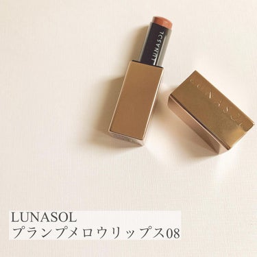 プランプメロウリップス 08 Soft Suede/LUNASOL/口紅を使ったクチコミ（1枚目）