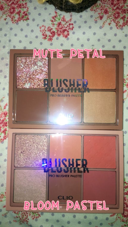 プロ アイ パレット/CLIO/アイシャドウパレットを使ったクチコミ(4枚目)