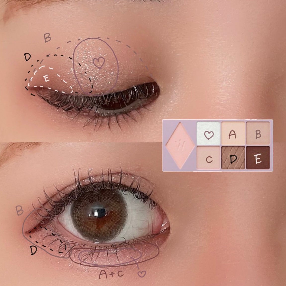 ウォンジョンヨ W デイリームードアップパレット /Wonjungyo/アイシャドウパレットを使ったクチコミ(5枚目)