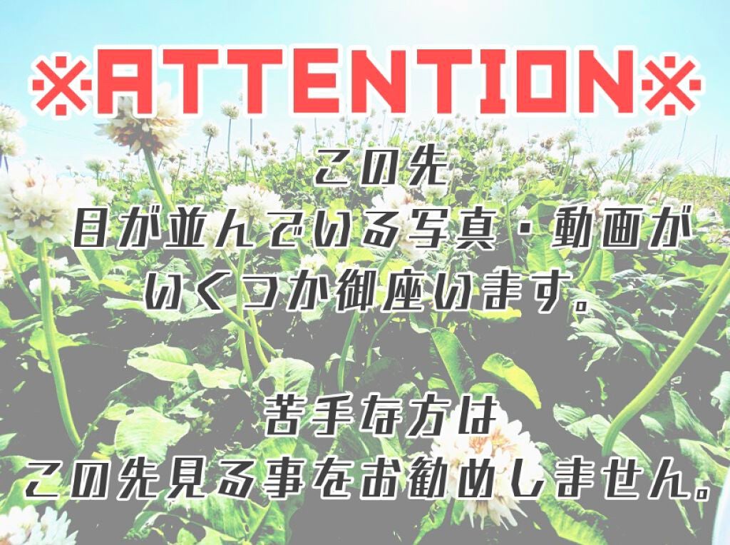 eye closet 1DAY/EYE CLOSET/ワンデー(1DAY)カラコンを使ったクチコミ(3枚目)