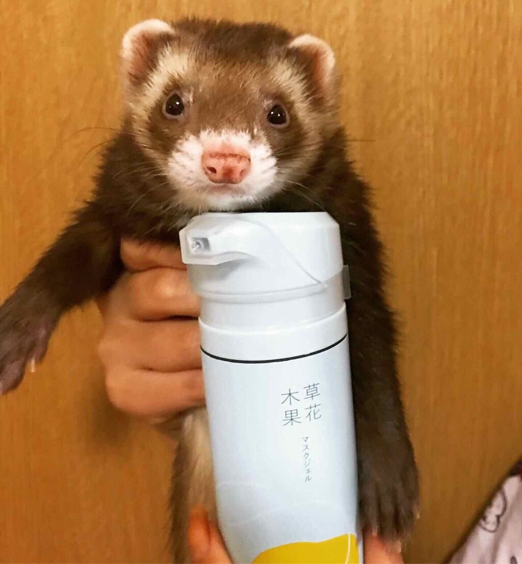 マスクジェル/草花木果/美容液を使ったクチコミ(1枚目)