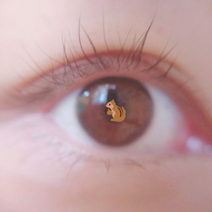 ラッシュジェリードロップ/MAJOLICA MAJORCA/まつげ美容液を使ったクチコミ(1枚目)