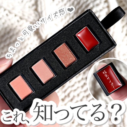 All in one Mystic kit/THE N.B.P/アイシャドウパレットを使ったクチコミ(1枚目)