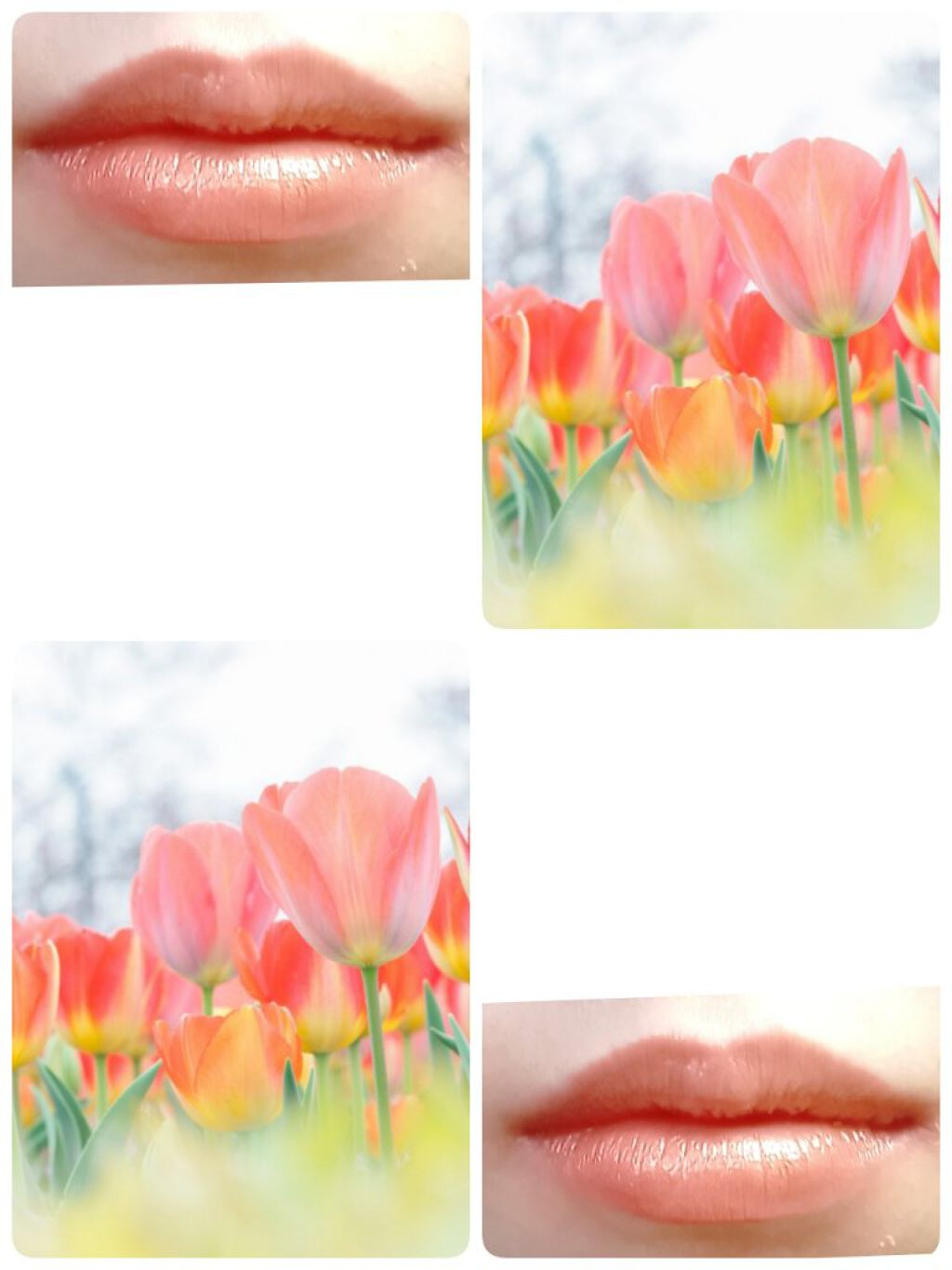 オペラ リップティント N/OPERA/リップティントを使ったクチコミ(5枚目)