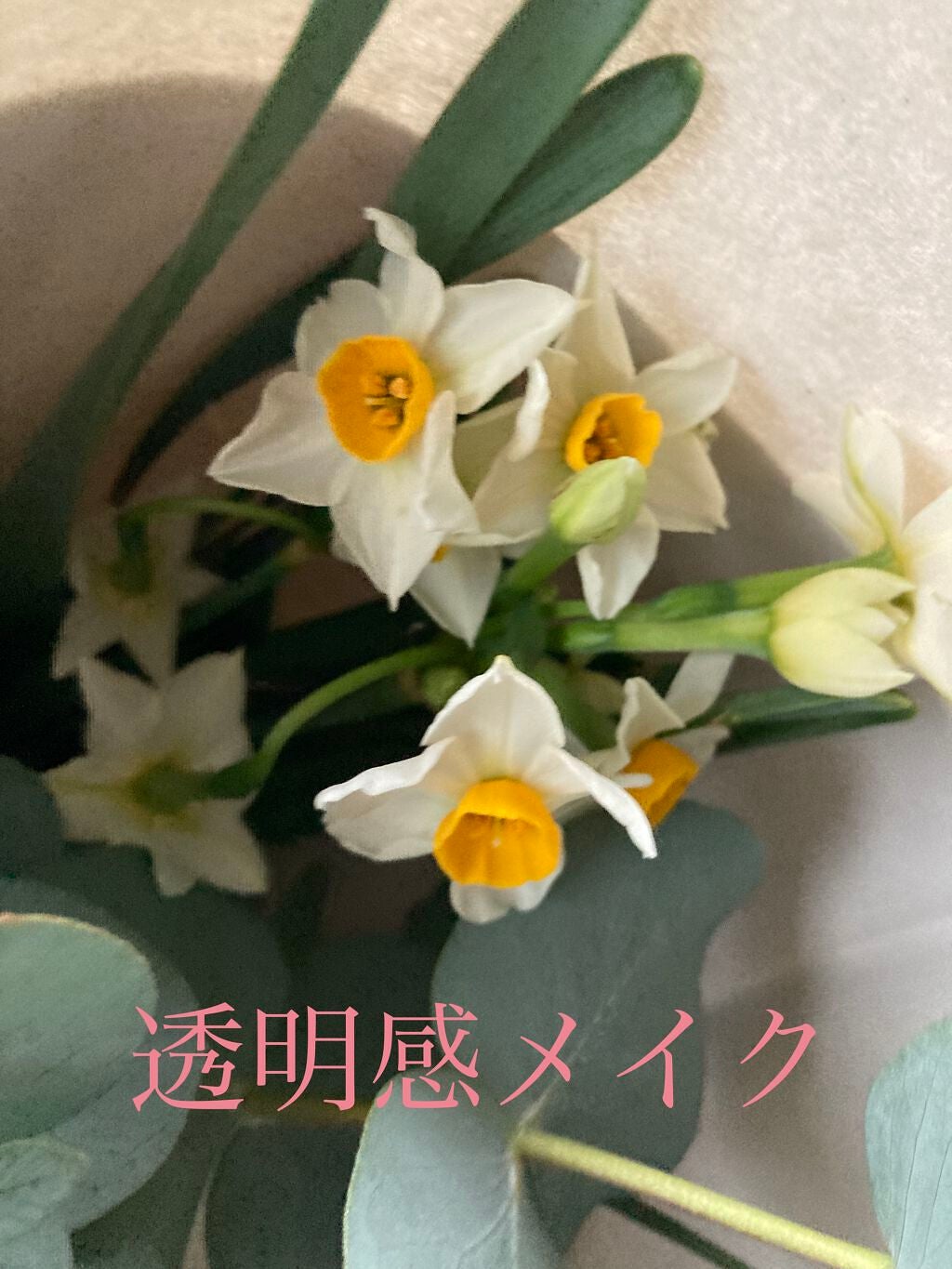 カバーパーフェクション チップコンシーラー/the SAEM/リキッドコンシーラーを使ったクチコミ(1枚目)