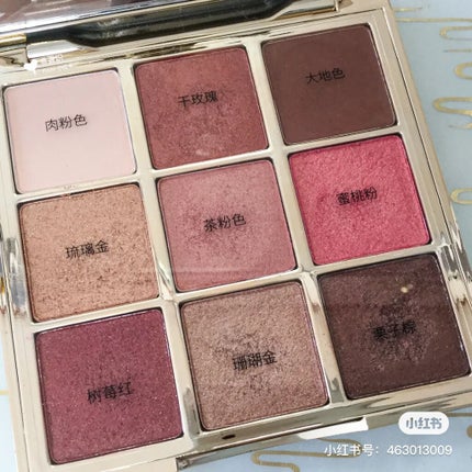 長相思シリーズ 9色アイシャドウパレット/CATKIN/アイシャドウパレットを使ったクチコミ(2枚目)