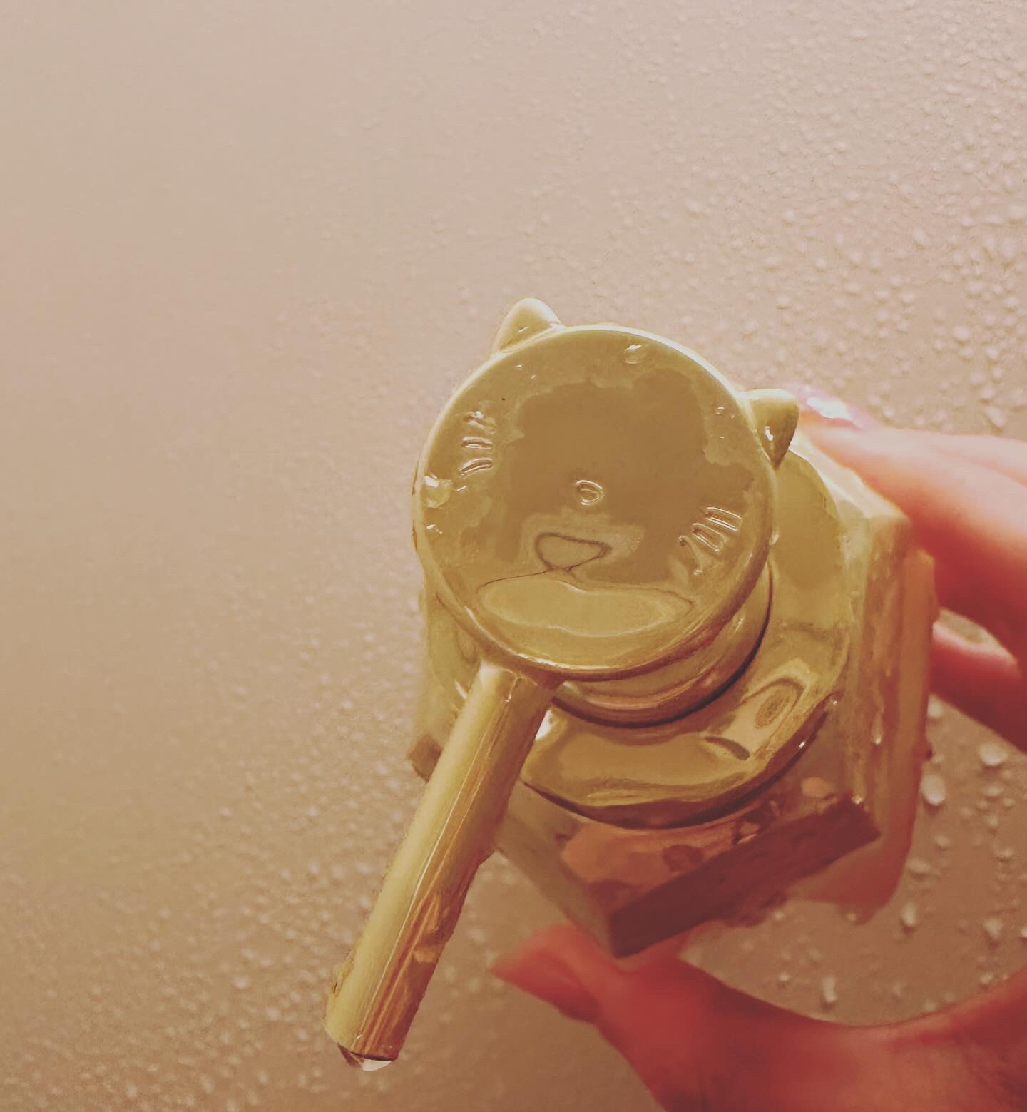 アンドハニー ピクシー モイストシルキー シャンプー1.0/ヘアトリートメント2.0/&honey/市販シャンプーを使ったクチコミ（2枚目）