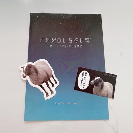 ヒツジのいらない枕/ヒツジのいらない枕/その他を使ったクチコミ(5枚目)