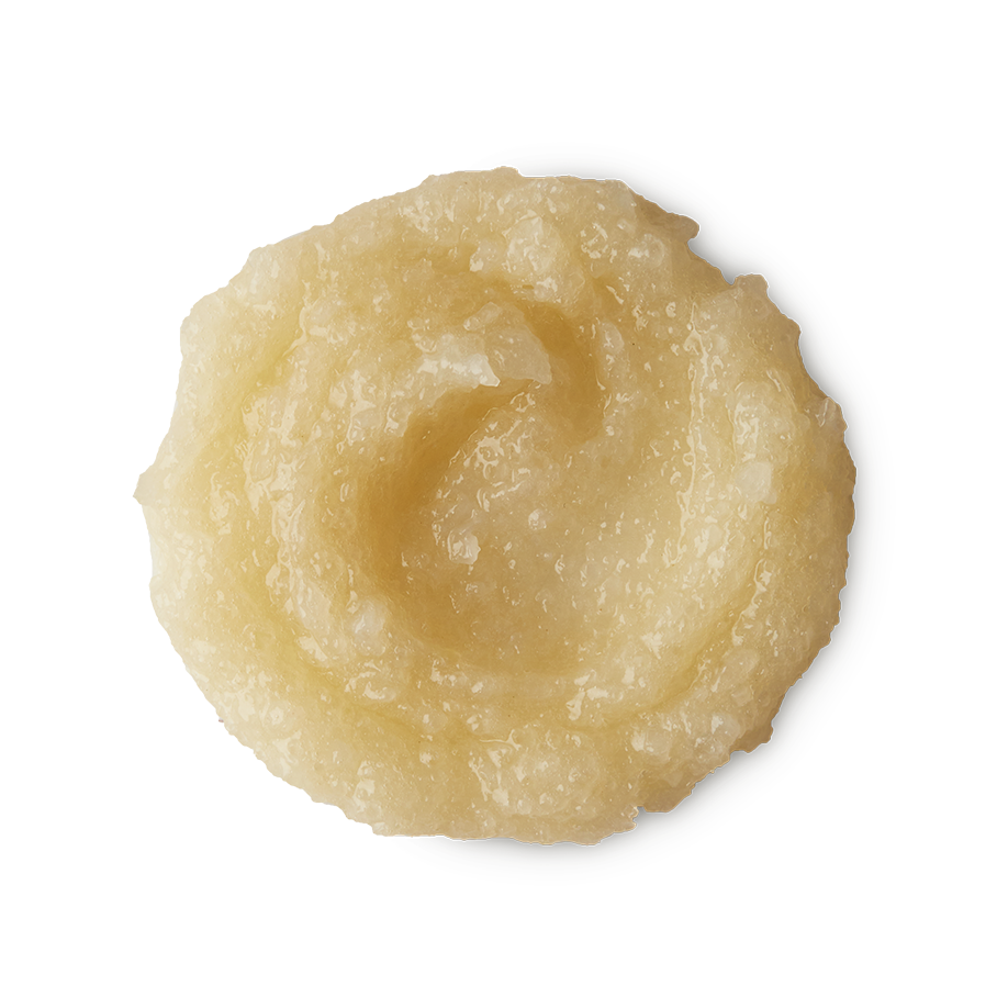 リハブソルティ ラッシュ