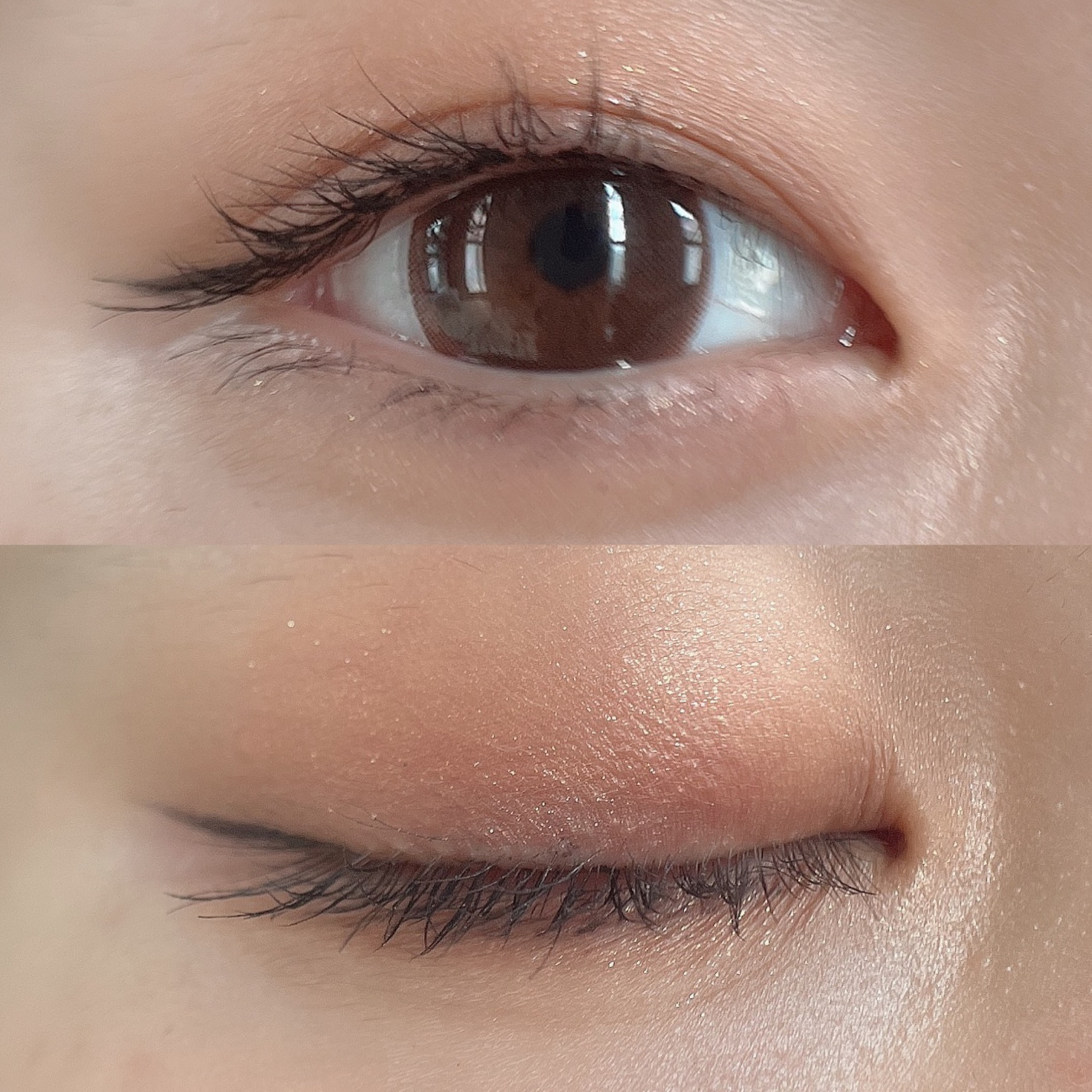 ニュアンスオンアイシャドウ/CEZANNE/アイシャドウパレットを使ったクチコミ（2枚目）