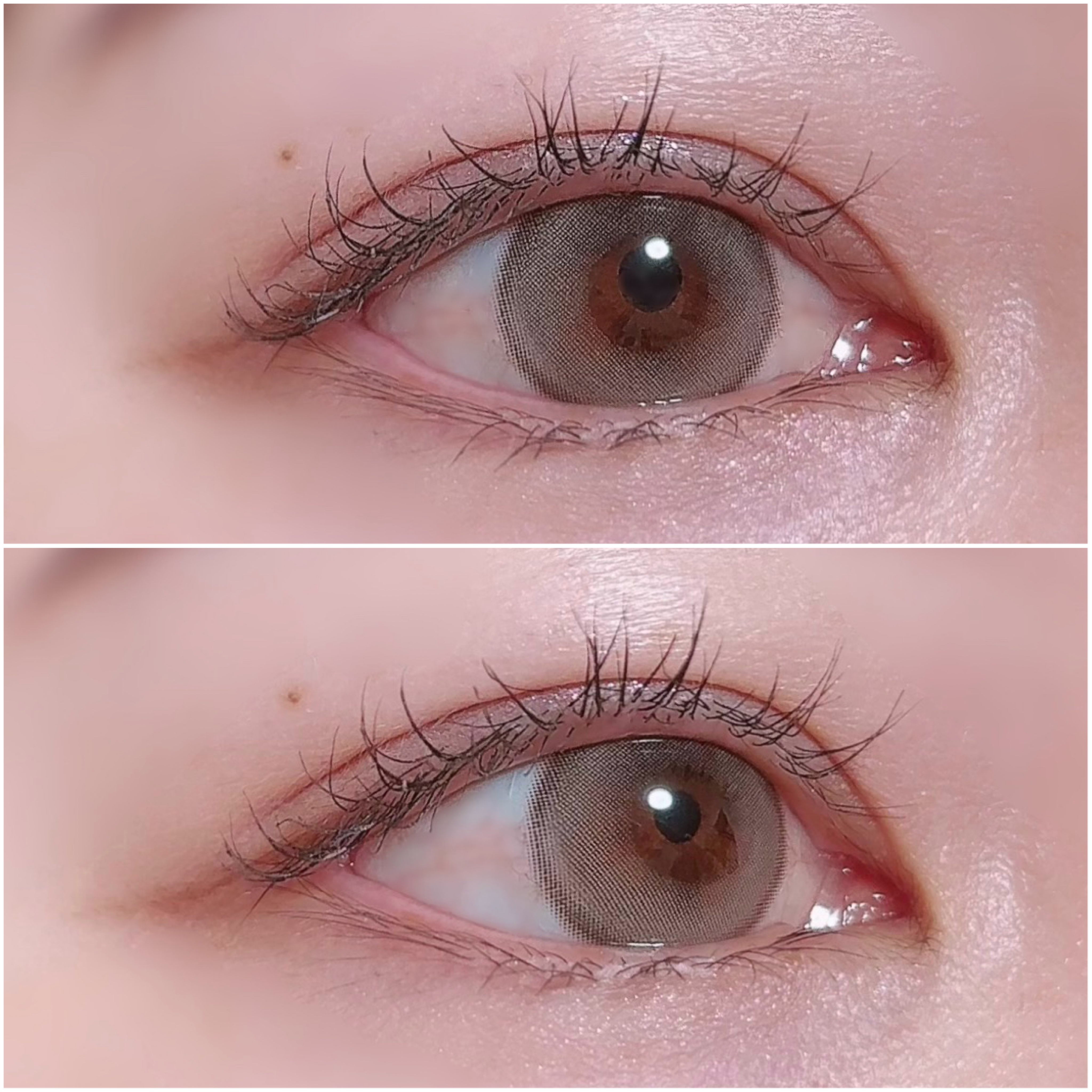 Suger High Kristin/Hapa kristin/カラーコンタクトレンズを使ったクチコミ（3枚目）