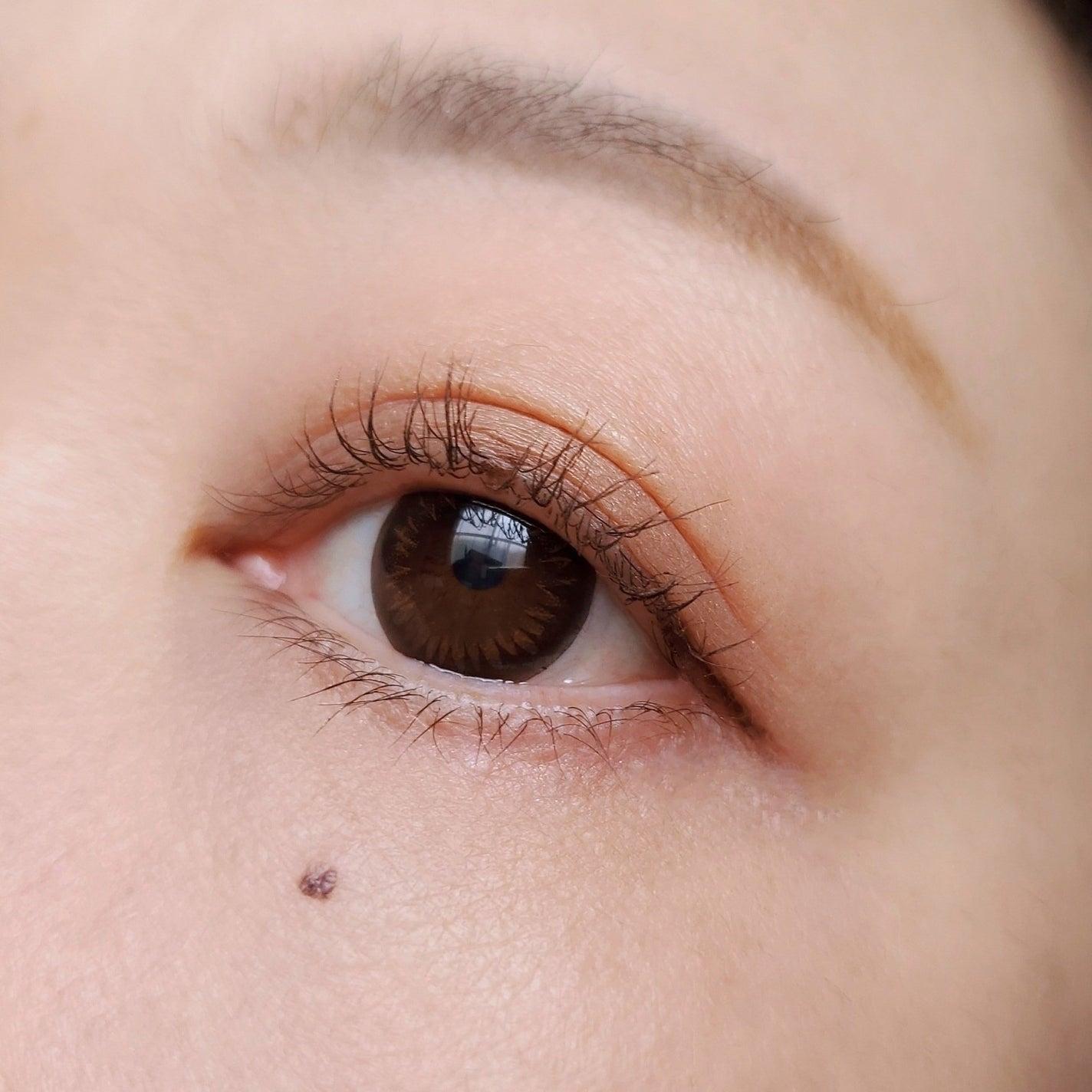 クイックラッシュカーラー/キャンメイク/マスカラ下地を使ったクチコミ(5枚目)