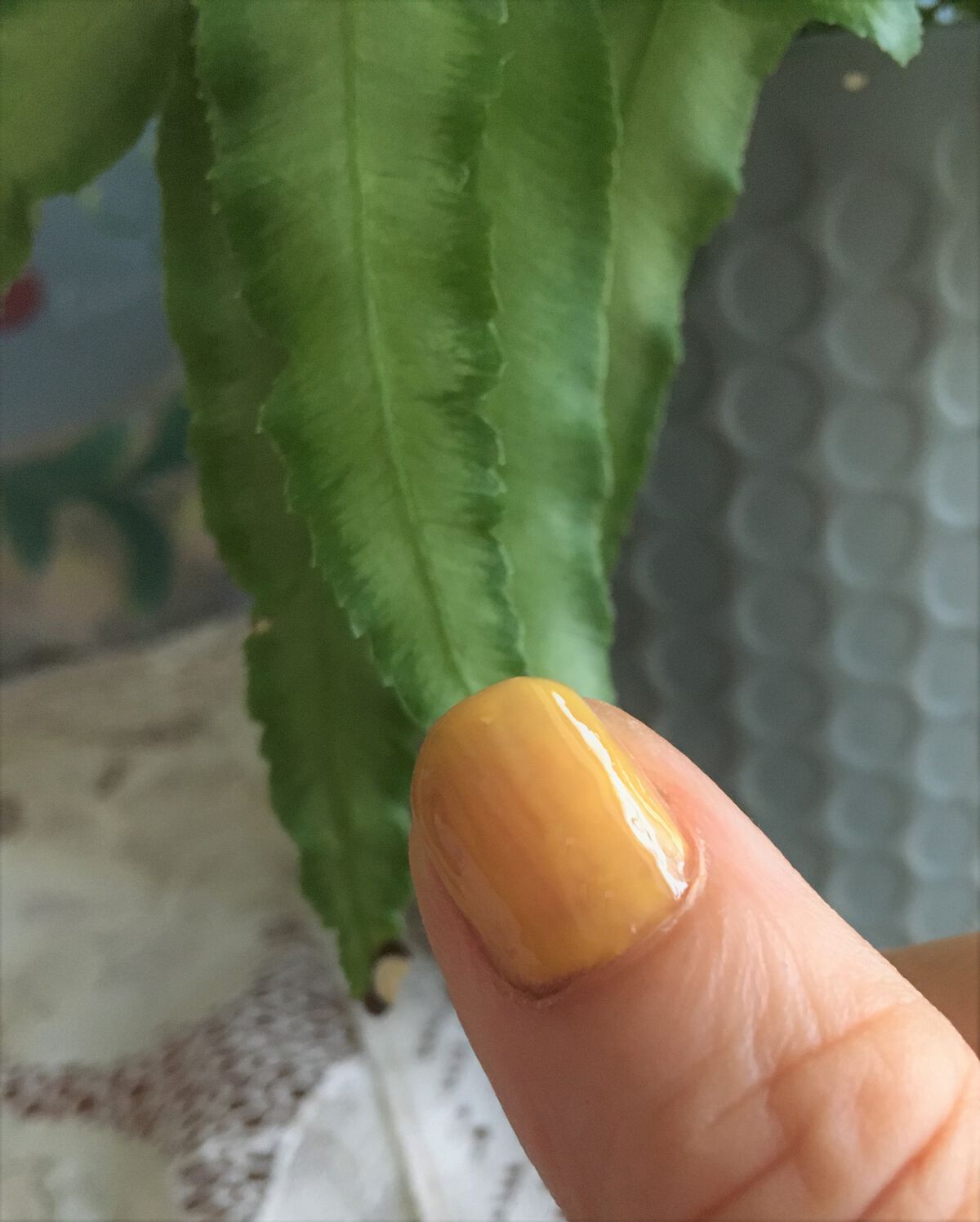 チャームスティックジェル/OMD/オールインワンネイルを使ったクチコミ(4枚目)