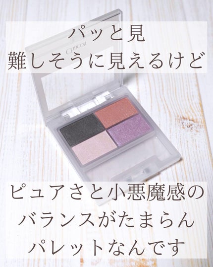 フェイスカラーパレット 509 アンティークドール/チャコット・コスメティクス/アイシャドウパレットを使ったクチコミ(2枚目)