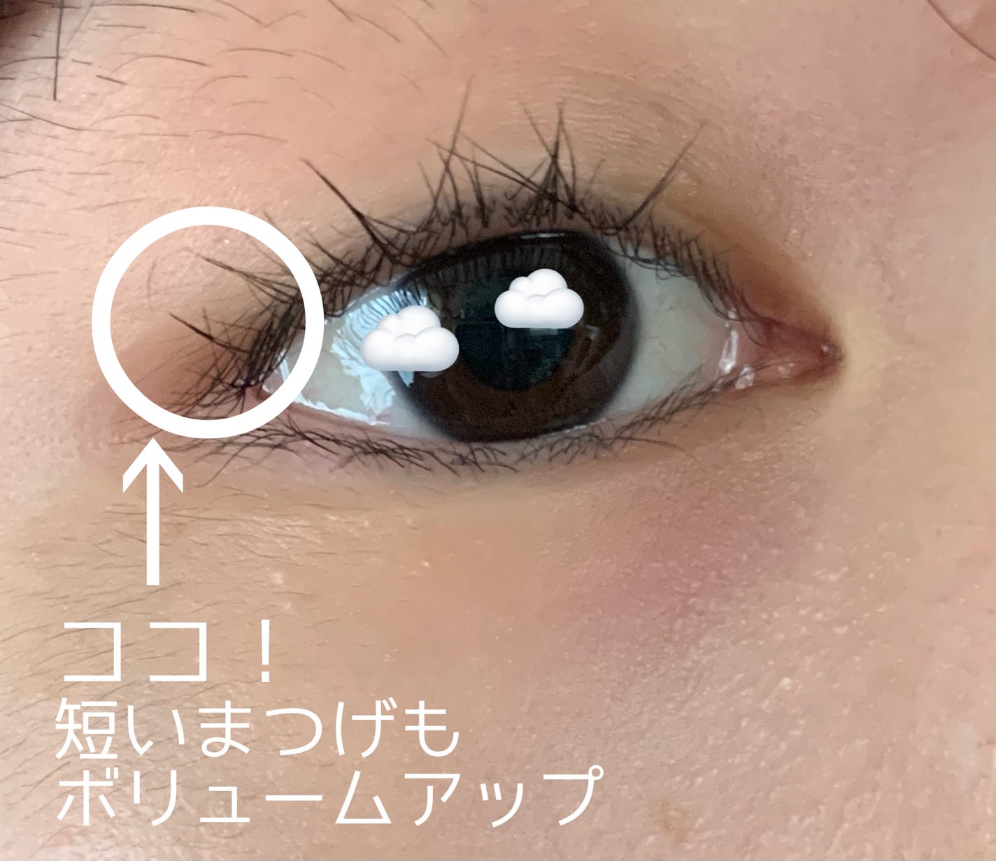 パーフェクトエクステンション マスカラ/D-UP/マスカラを使ったクチコミ(3枚目)