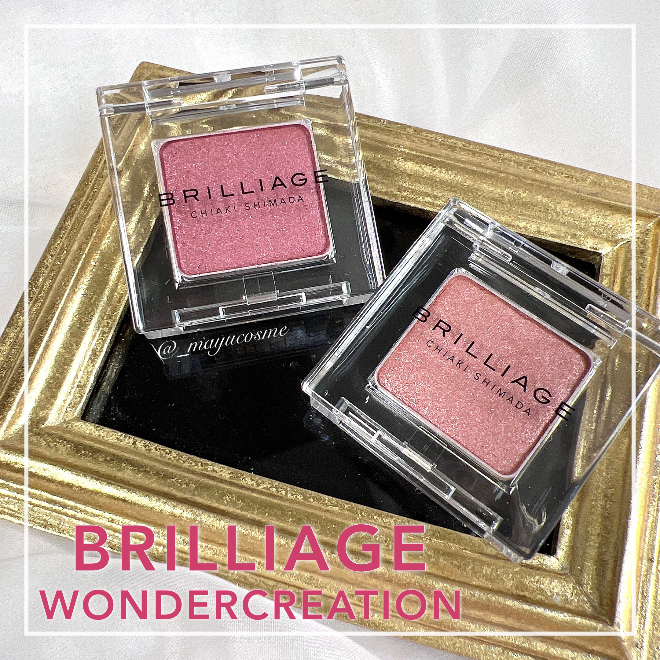 ワンダークリエイション /ブリリアージュ/単色アイシャドウを使ったクチコミ（1枚目）