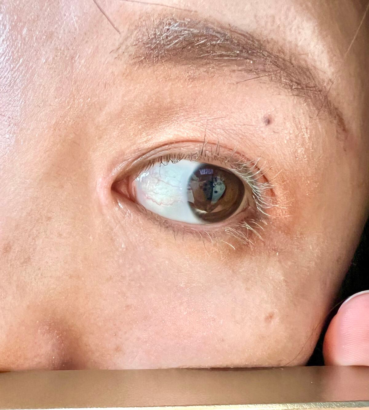 ミゼルエディ カールアップマスカラ/ミゼルエディ/マスカラを使ったクチコミ(2枚目)