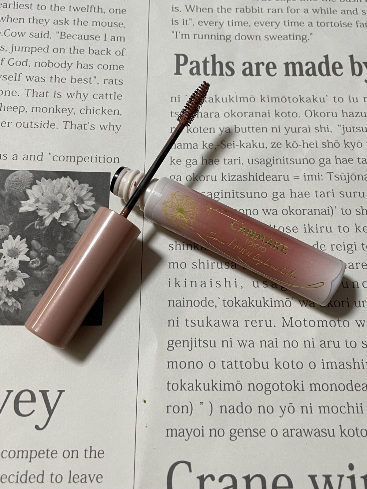 スマートミニアイブロウカラー/キャンメイク/眉マスカラを使ったクチコミ（1枚目）