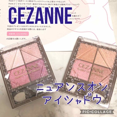 ニュアンスオンアイシャドウ/CEZANNE/アイシャドウパレットを使ったクチコミ（1枚目）