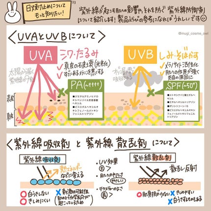 ビオレUV アクアリッチ アクアプロテクトミスト/ビオレ/日焼け止めミスト・スプレーを使ったクチコミ(5枚目)