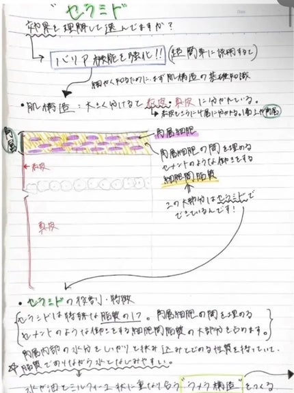 リポソーム アドバンスト リペアセラム/DECORTÉ/美容液を使ったクチコミ(2枚目)