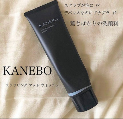 スクラビング マッド ウォッシュ/KANEBO/洗顔フォームを使ったクチコミ(1枚目)