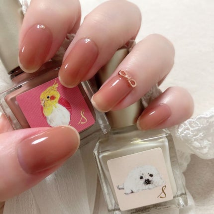 ネイルエス/ nail S(ネイルエス) /マニキュアを使ったクチコミ(1枚目)