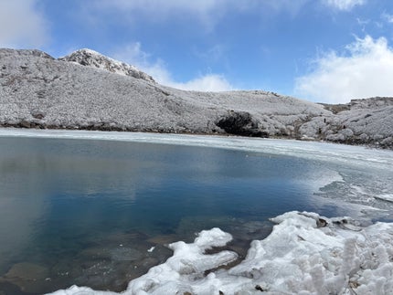 オーガニック プランピングバーム ORANGE&VANILLA/SINN PURETÉ/リップバームを使ったクチコミ(4枚目)