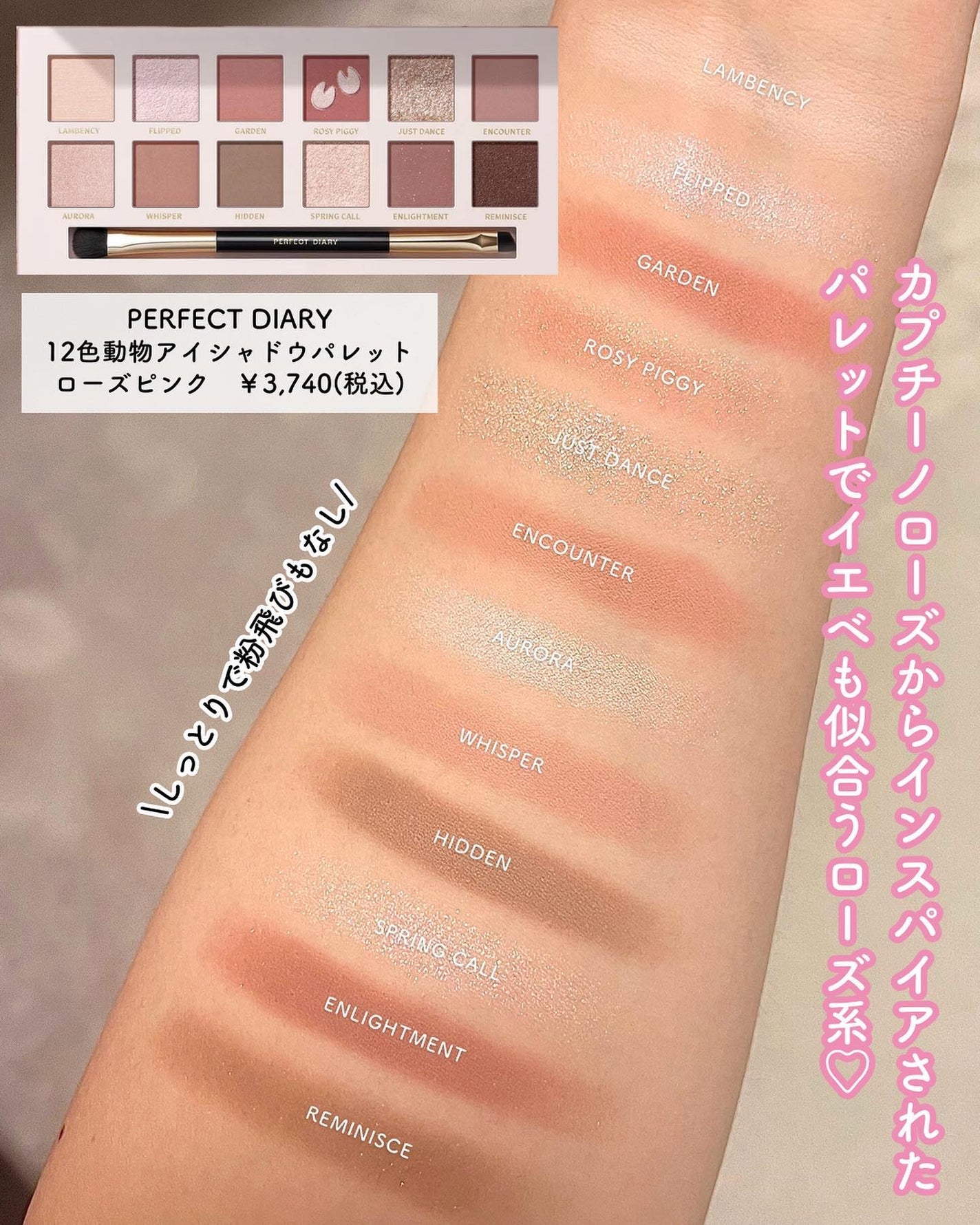 エクスプローラ12色 動物アイシャドウパレット/PERFECT DIARY/アイシャドウパレットを使ったクチコミ(3枚目)