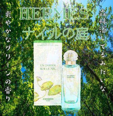 🐍HERMES ナイルの庭🐍

100ml ¥17,930(tax in)

 ┈┈───────────────────┈┈ 

グリーンシトラスの爽やかな香りが好きで10年近くリピしているフレグラン