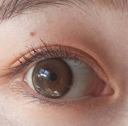 エバーカラーワンデー ナチュラル/エバーカラー/ワンデー(1DAY)カラコンを使ったクチコミ(1枚目)