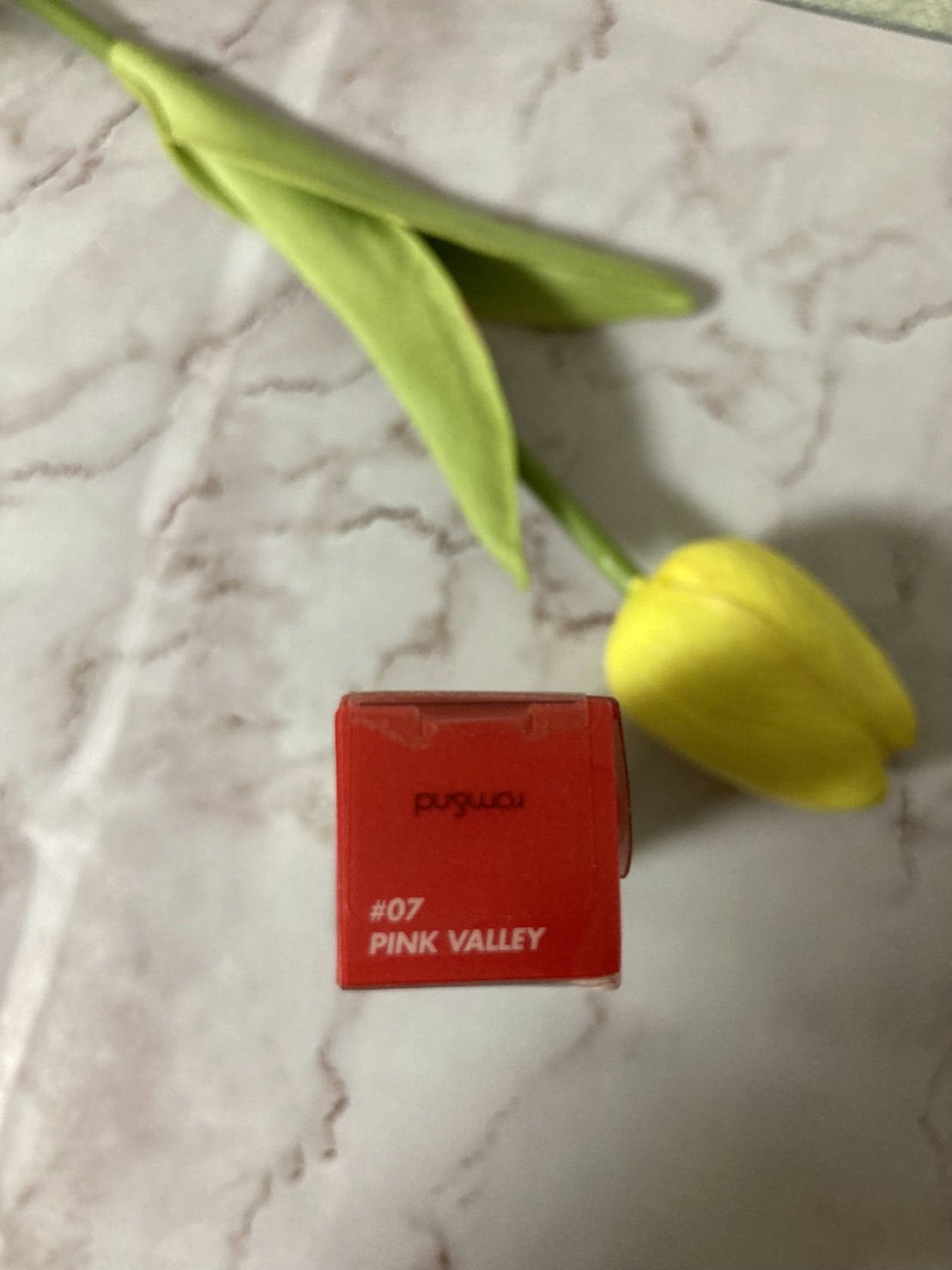 グラスティングウォーターティント/rom&nd/リップティントを使ったクチコミ(2枚目)