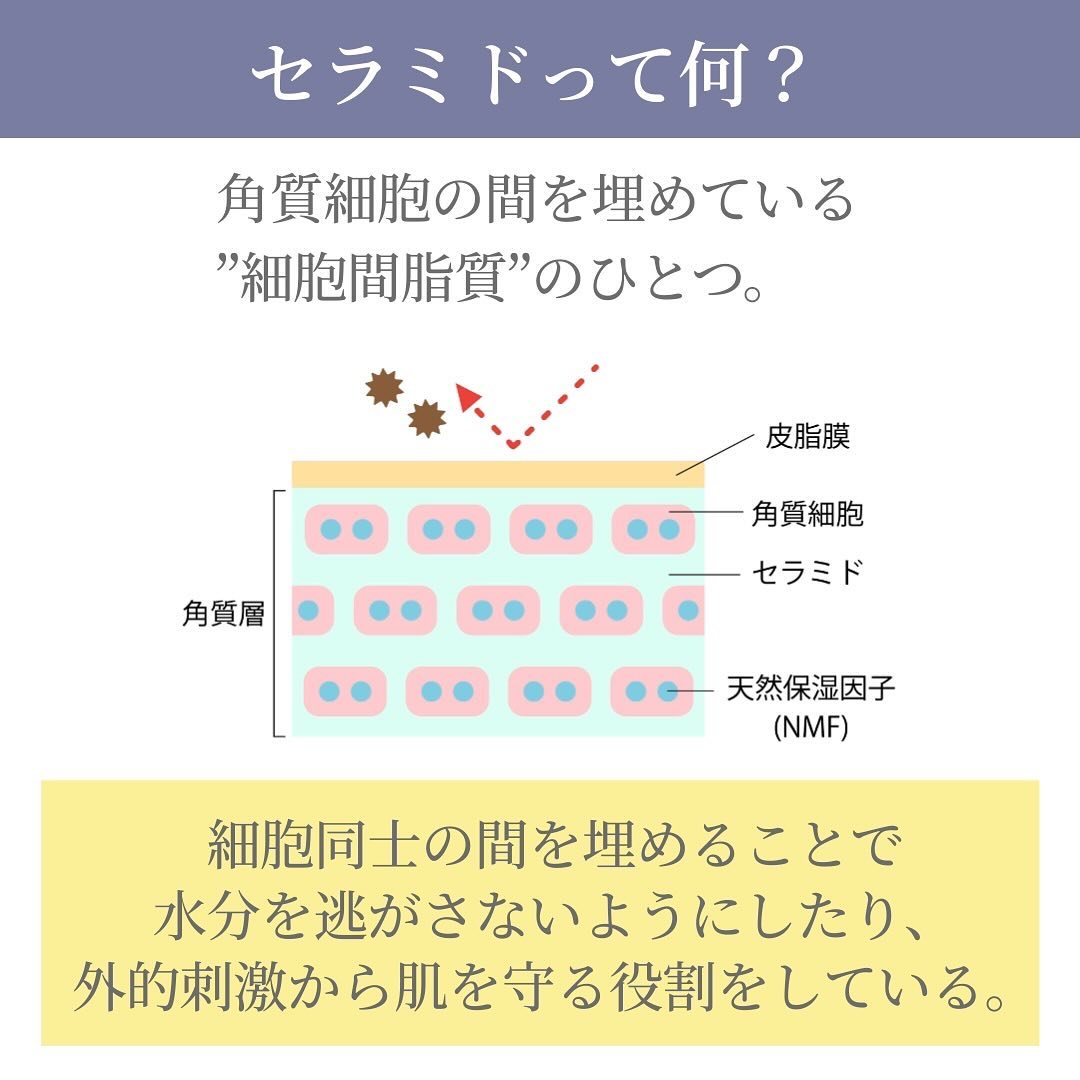 潤浸保湿 フェイスクリーム/キュレル/フェイスクリームを使ったクチコミ（2枚目）
