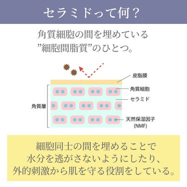 潤浸保湿 フェイスクリーム/キュレル/フェイスクリームを使ったクチコミ（2枚目）