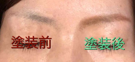 ビューティートリックアイブロー/インテグレート/パウダーアイブロウを使ったクチコミ(2枚目)