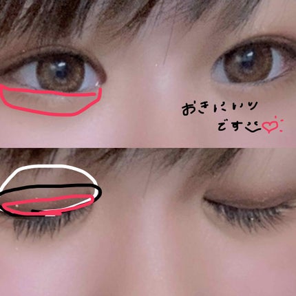 グラデーション アイ カラー(チップ付) 74 ブラウン系/ちふれ/アイシャドウパレットの画像