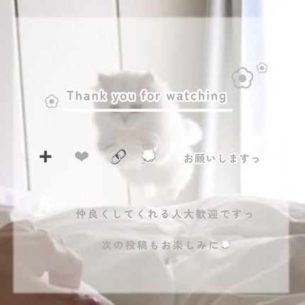 トーンアップアイシャドウ/CEZANNE/アイシャドウパレットを使ったクチコミ(7枚目)