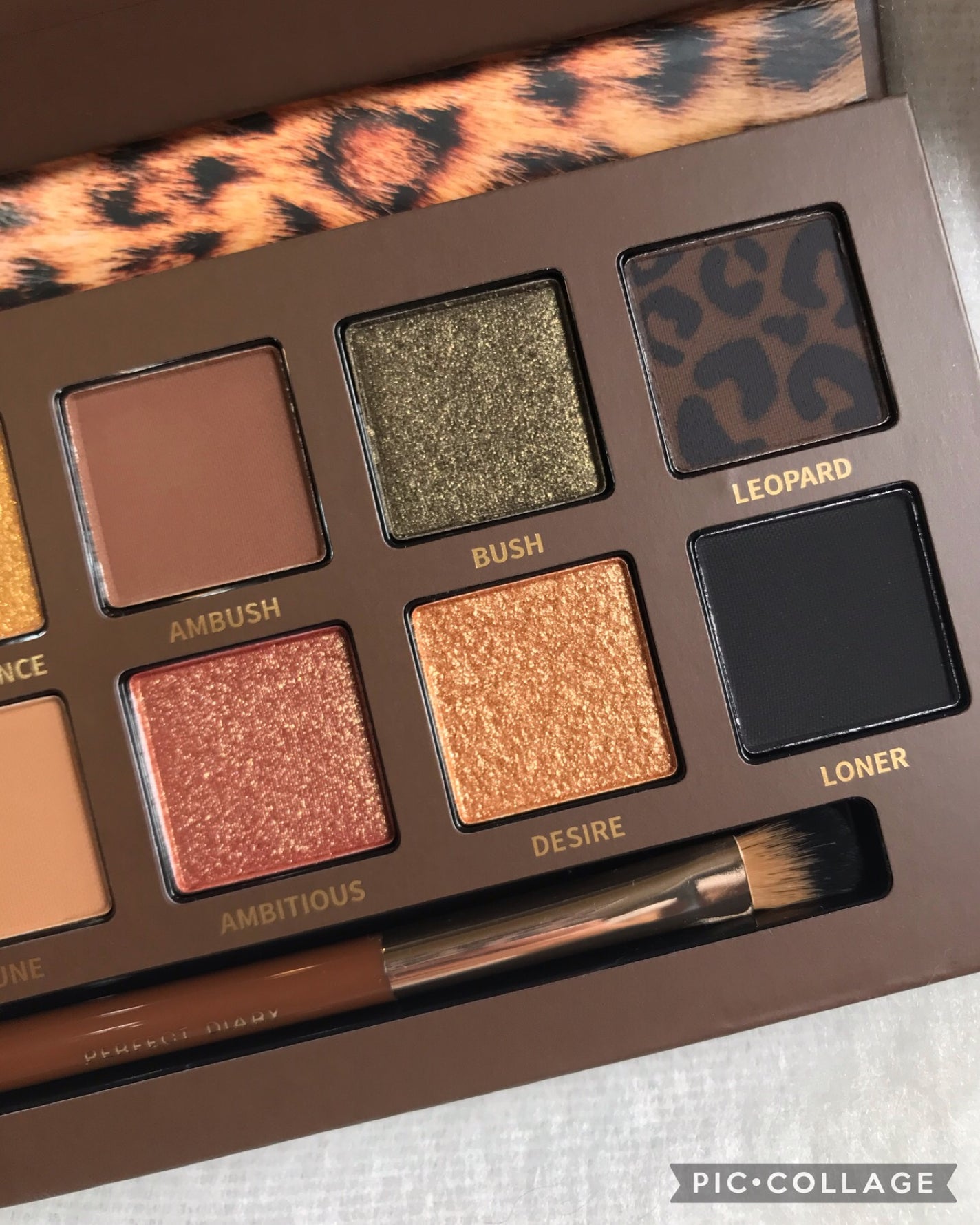 エクスプローラ12色 動物アイシャドウパレット/PERFECT DIARY/アイシャドウパレットを使ったクチコミ(4枚目)