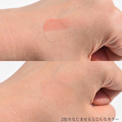 リシェ レッドトリック アイコンシーラー/Visée/パレットコンシーラーを使ったクチコミ(3枚目)