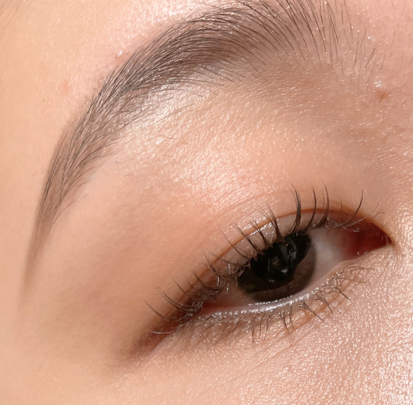 クシ ブロー/shu uemura/眉マスカラを使ったクチコミ(5枚目)