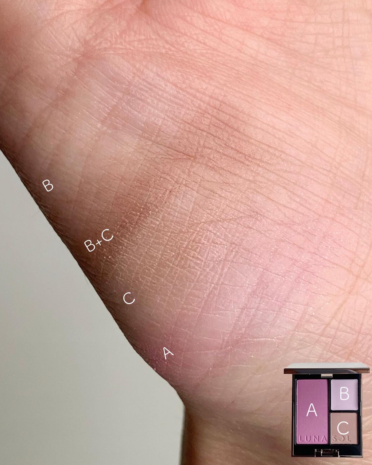 シークレットシェイプパレット/LUNASOL/パウダーチークを使ったクチコミ(4枚目)