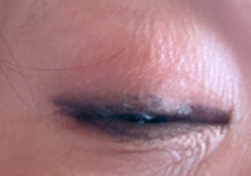 プティパレットアイズ/キャンメイク/パウダーアイシャドウを使ったクチコミ（3枚目）