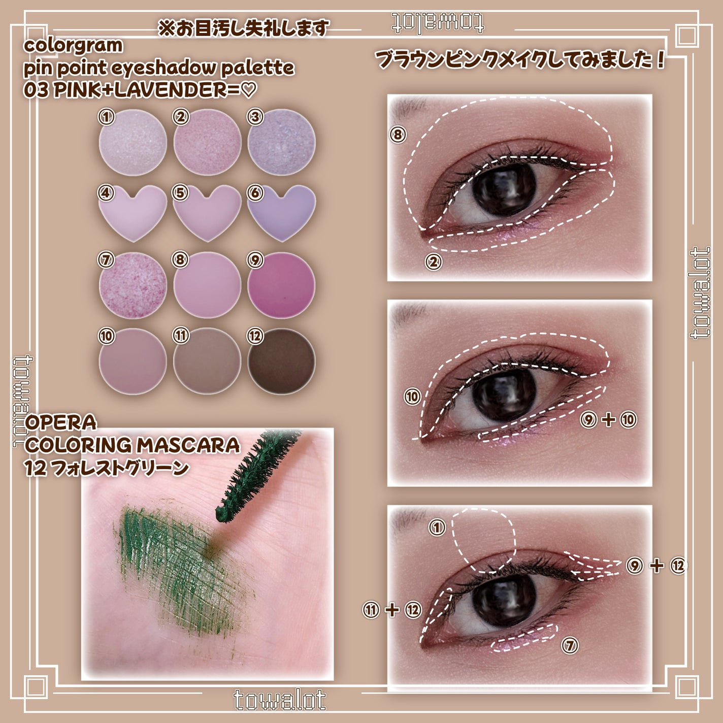 目元チュートリアルアイパレット/Colorgram/アイシャドウパレットを使ったクチコミ(2枚目)