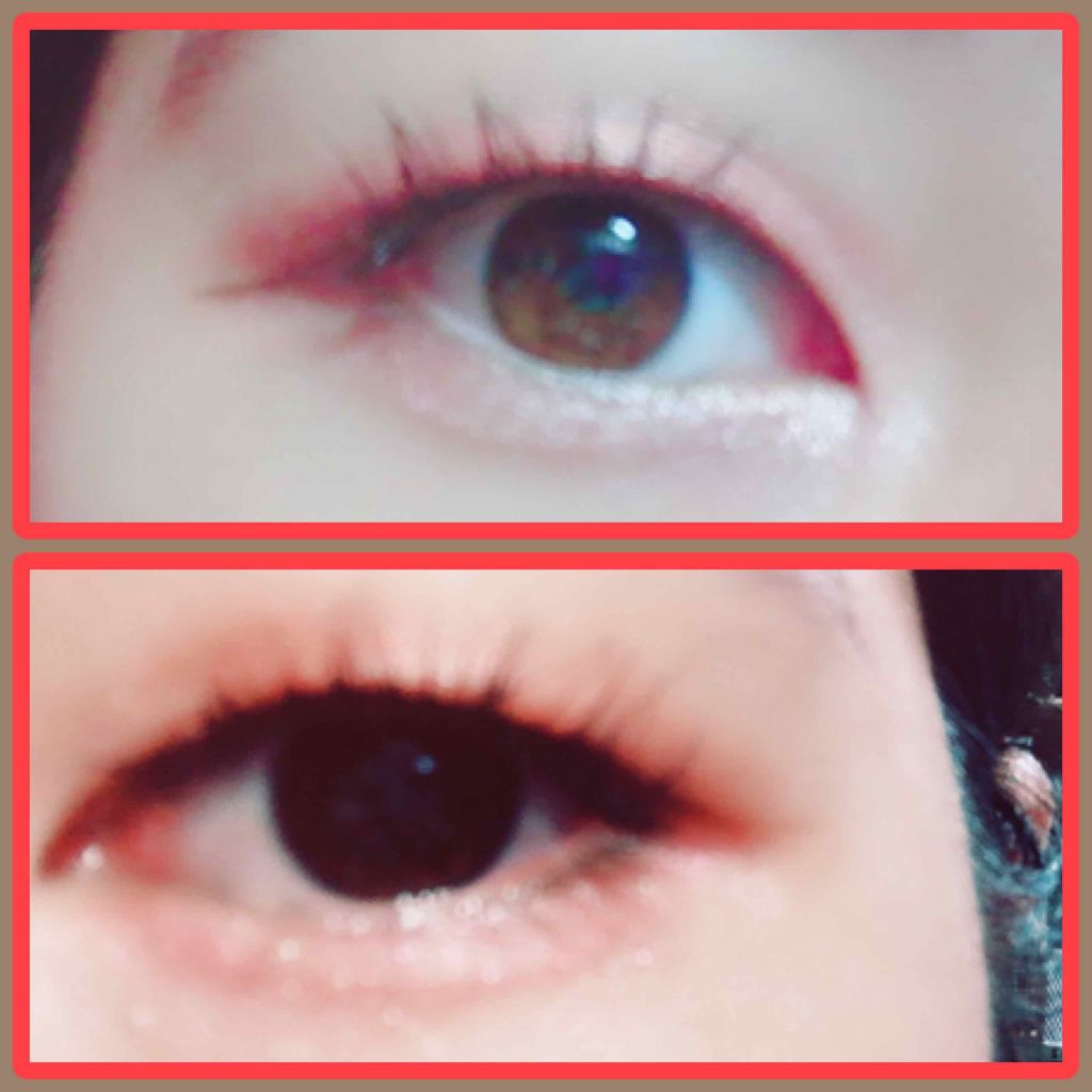 ファッション アイシャドウ/NOVO/アイシャドウパレットを使ったクチコミ（1枚目）