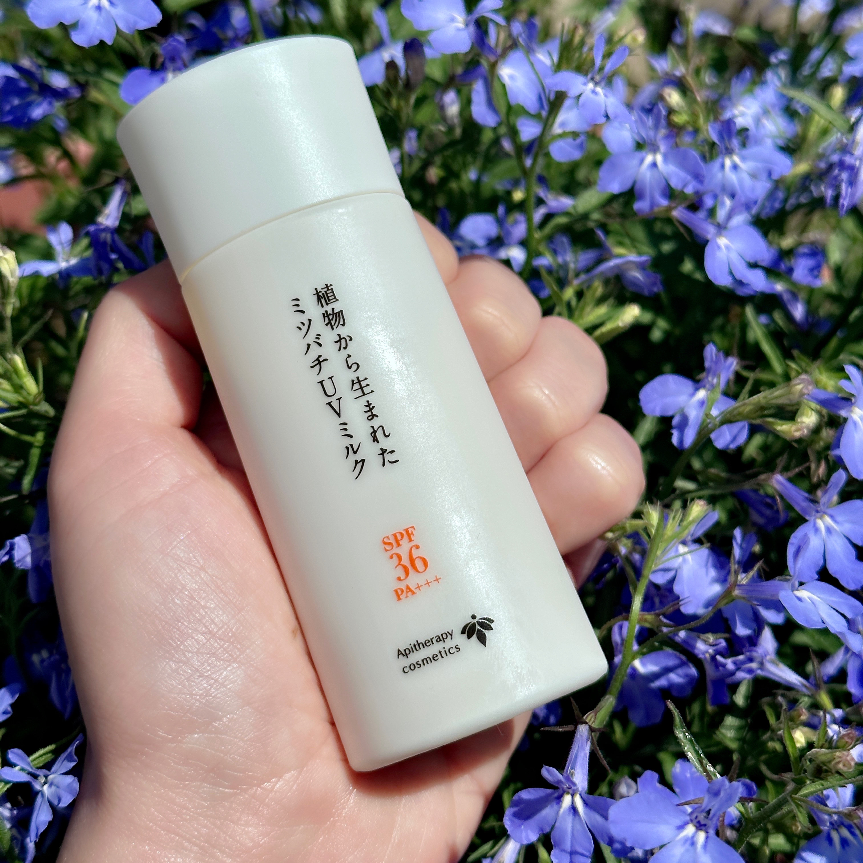 植物から生まれたミツバチUVミルク/アピセラピーコスメティクス/日焼け止めミルクを使ったクチコミ（1枚目）