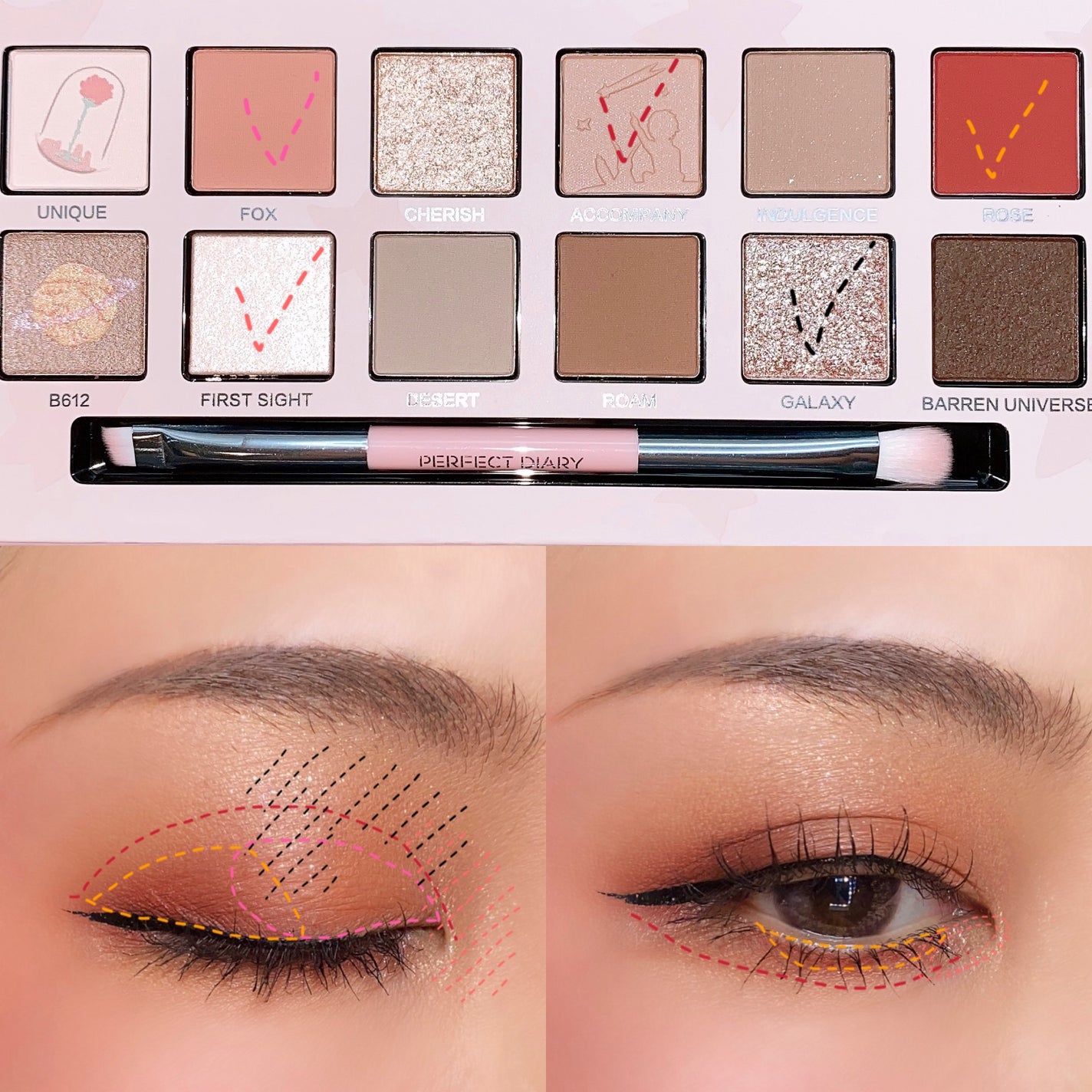 エクスプローラ12色 動物アイシャドウパレット/PERFECT DIARY/アイシャドウパレットを使ったクチコミ(4枚目)